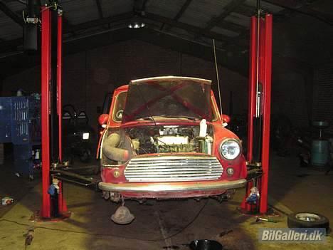 Mini Mascot billede 7