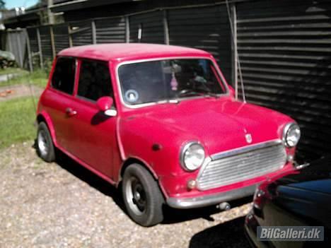 Mini Mascot billede 9