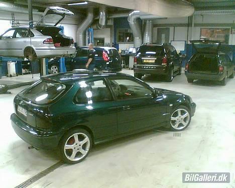 Honda Civic billede 3