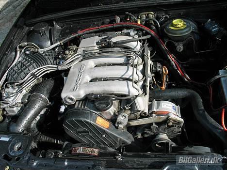 Audi 80 2,0 16v - Solgt - En ordentlig motor er en Audi motor ;-) billede 3