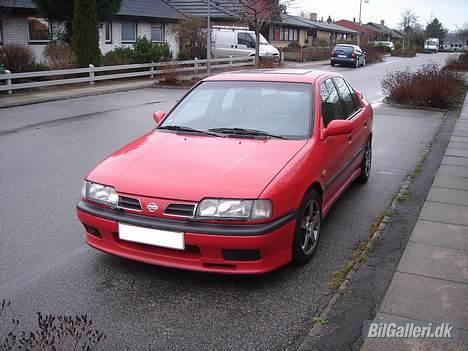 Nissan Primera GT billede 4