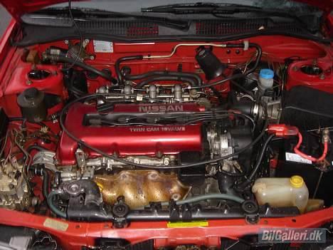 Nissan Primera GT billede 6