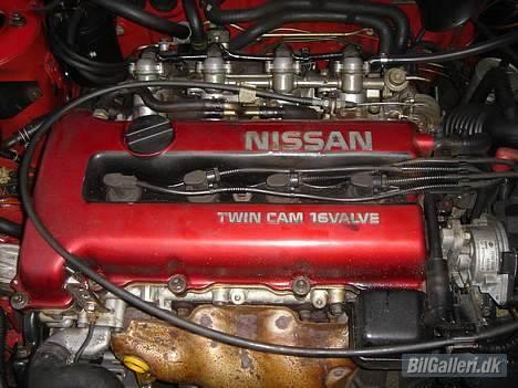 Nissan Primera GT billede 7