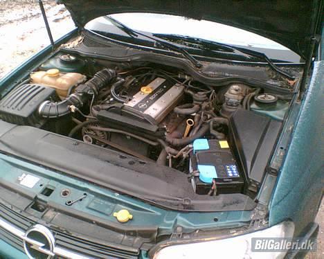 Opel Omega B (SOLGT) billede 6