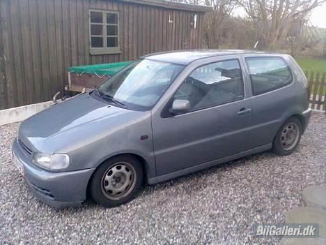 VW Polo 6N *SOLGT* billede 1