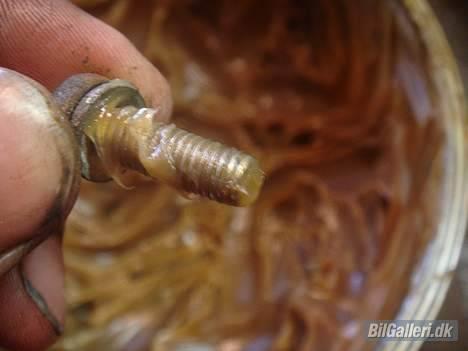 Ford XR3I *Projekt*  - Nu når man har skruerne oppe kan man lige så godt smøre den med lidt fedt så de ikke ruster fast!! billede 14