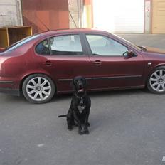 Seat Toledo 1,6 (SOLGT)