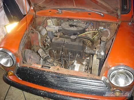 Austin-Morris mascot 850 - motoren har ikke været startet i 10 år, men jeg regner med at putte en 1000ccm i den i stedet for  billede 2