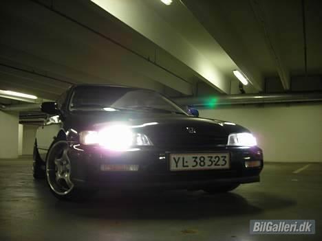 Honda Accord Coupe ^SOLGT^ billede 6