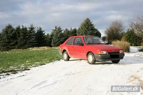 Ford Escort 1.3 CL*Vild dyret* billede 2