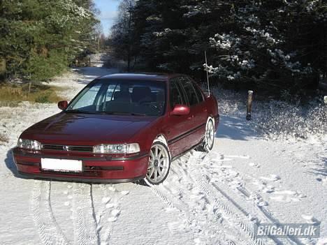 Honda Accord 2,2 EXRi- Solgt! - På en lille skovtur... billede 1