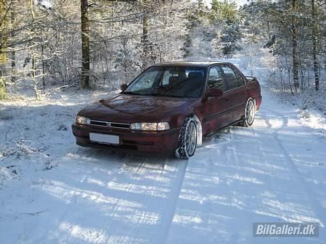Honda Accord 2,2 EXRi- Solgt! - Lige et frontbillede med små sol-strejf... billede 2