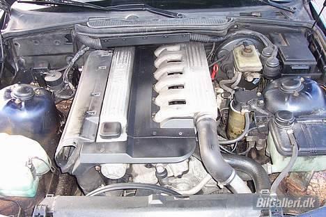 BMW 325 TDS *SOLGT* billede 7