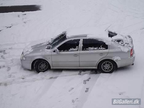 Skoda octavia 1,8t Solgt - "Pikken" på skitur i Østrig billede 18