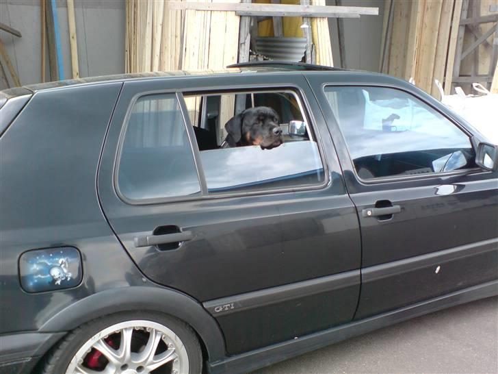 VW Golf 3 GTi (SOLGT) billede 15