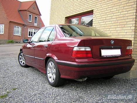 BMW 318i billede 4