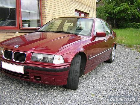 BMW 318i billede 2