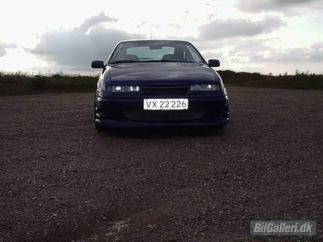 Opel calibra billede 3