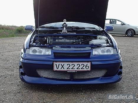 Opel calibra billede 6