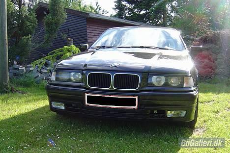 BMW 320i SOLGT billede 8
