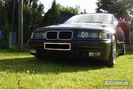 BMW 320i SOLGT billede 10