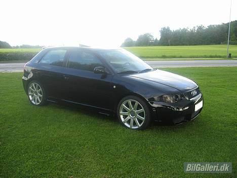 Audi A3 1.8T Ambition billede 2