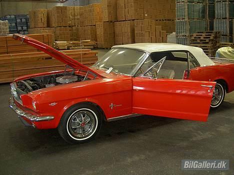 Ford Mustang billede 1