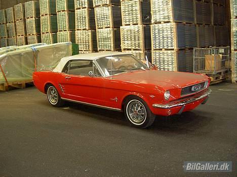 Ford Mustang billede 3