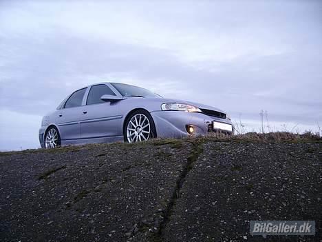 Opel Vectra billede 12
