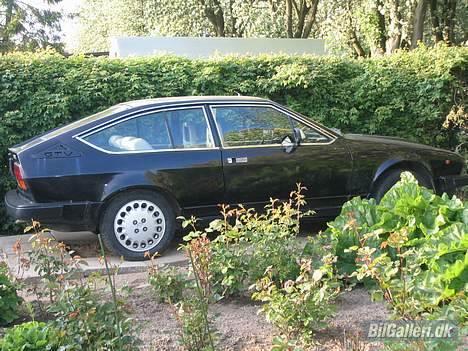 Alfa Romeo GTV billede 5