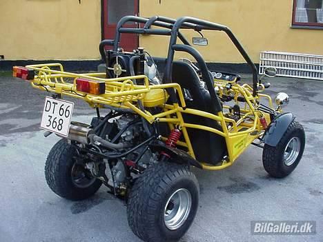 Texas 250ccm Buggy billede 2