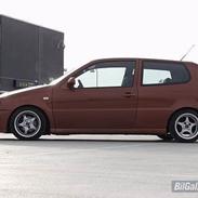 VW Polo 6N