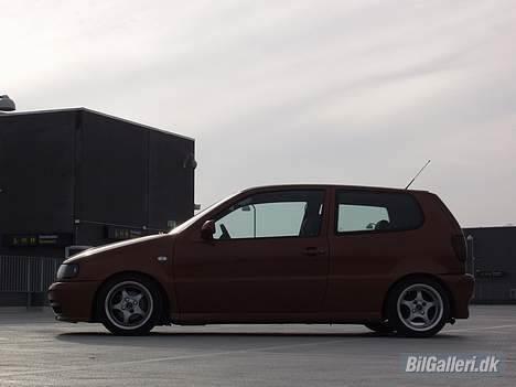 VW Polo 6N billede 4