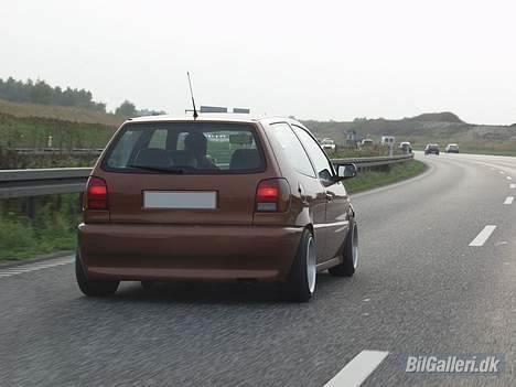VW Polo 6N billede 7
