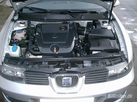 Seat Leon Cupra R (TDI)  billede 14