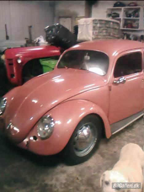 VW bobbel-ovaler-solgt billede 17