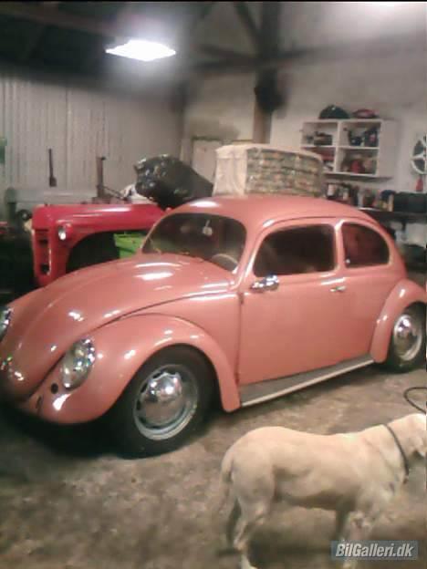 VW bobbel-ovaler-solgt billede 18