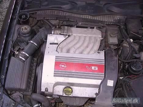 Opel vectra 2.5 v6 byttet væk - så har man fået den hjem så skal den have en kærlig hånd billede 7