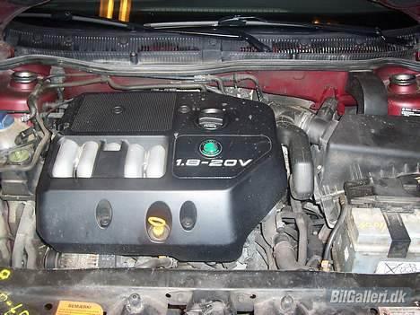 Skoda octavia billede 8