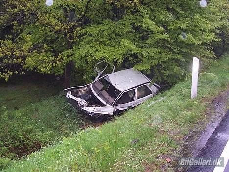 Skoda octavia - de vil ung gå et dyr så kom den i slinger og endte der billede 12