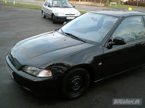 Honda Civic billede 14