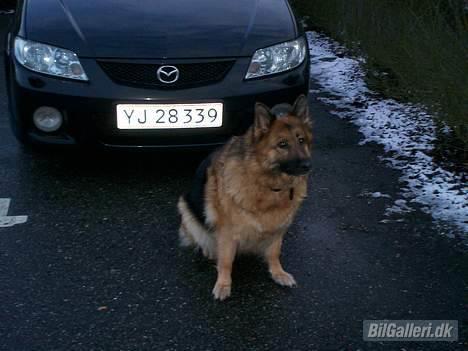 Mazda 323F 2,0 Sportive DØD - alarmen og grunden til jeg fik bilen billede 10