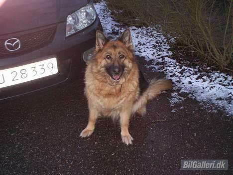 Mazda 323F 2,0 Sportive DØD - alarmen og grunden til jeg fik bilen billede 11