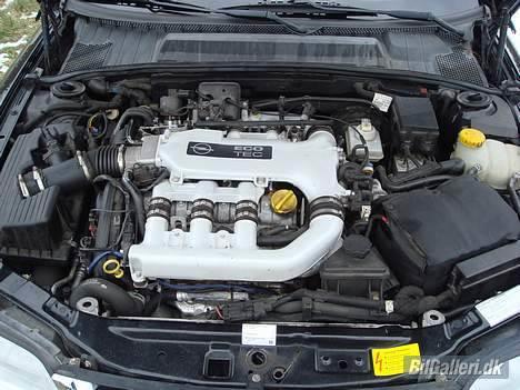 Opel Vectra B 2.5 V6 solgt billede 7