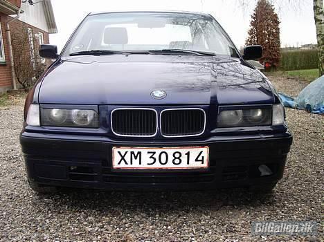 BMW 316 SOLGT billede 2