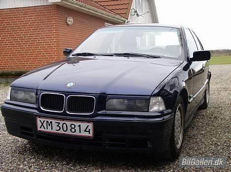 BMW 316 SOLGT billede 3