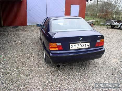 BMW 316 SOLGT billede 4