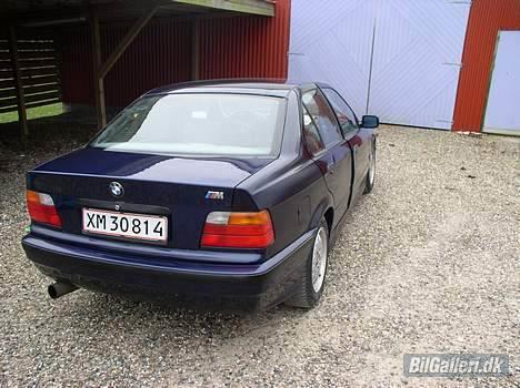 BMW 316 SOLGT billede 5