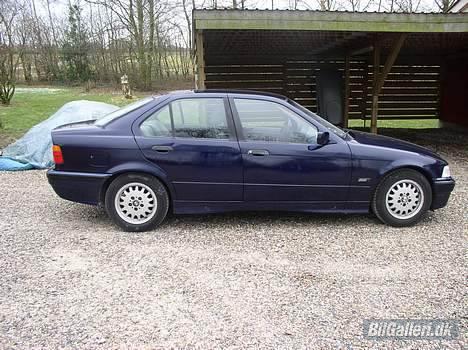 BMW 316 SOLGT billede 6