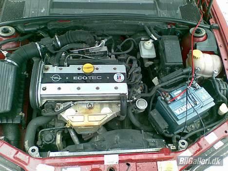Opel vectra B - det liner næsten en v8`er billede 2